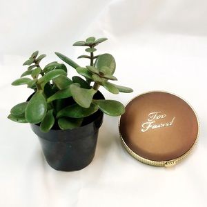 Too Faced Makeup - Too Faced Chocolate Soleil Matte Bronzer Too Faced Makeup - Too Faced Chocolate Soleil Matte Bronzer